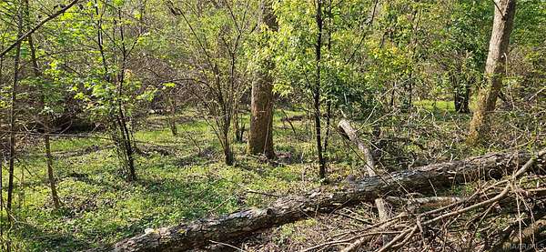 1 Acre of Residential Land for Sale in Fairhope, Alabama