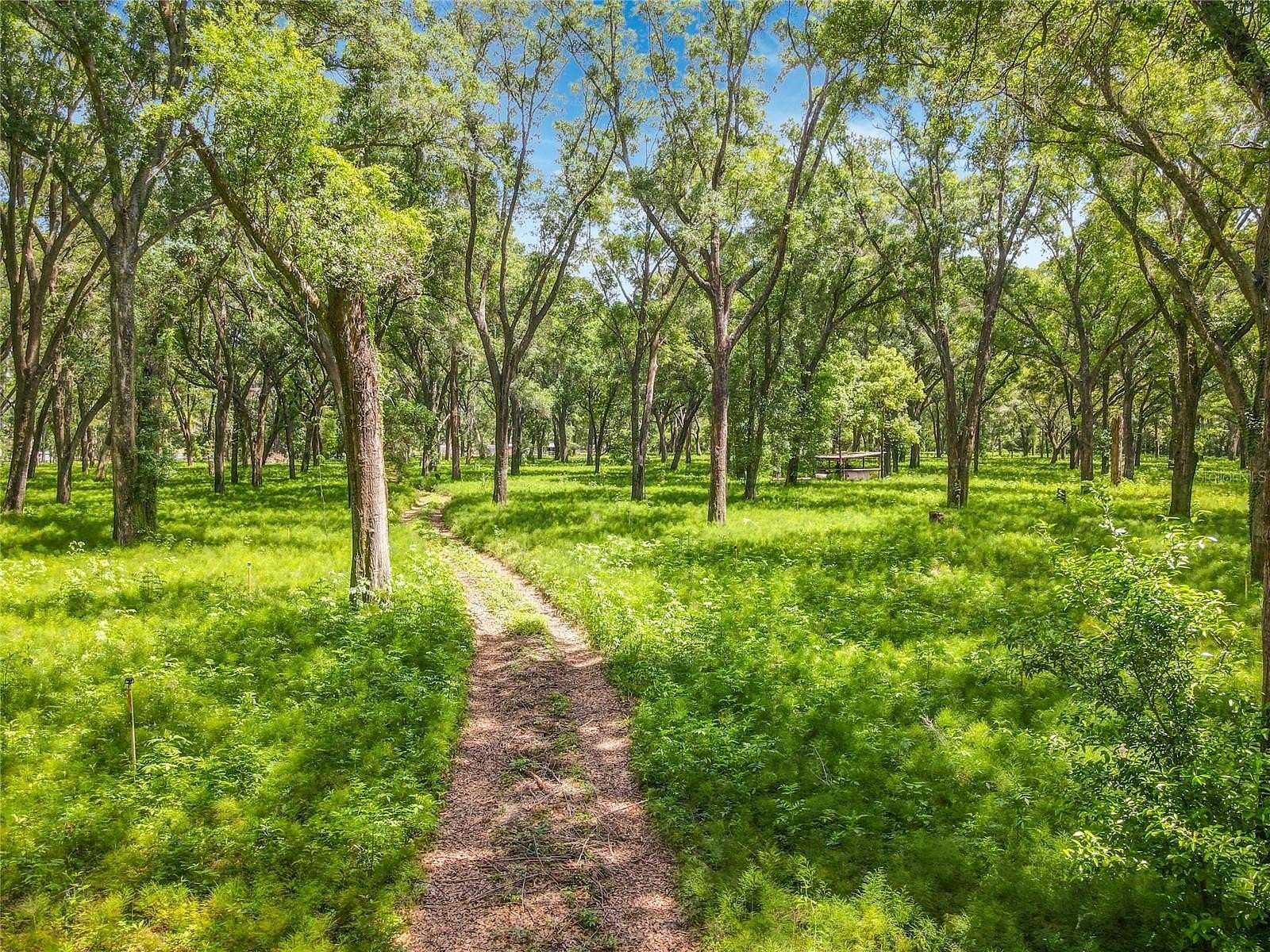 16.8 Acres of Land for Sale in Crescent City, Florida