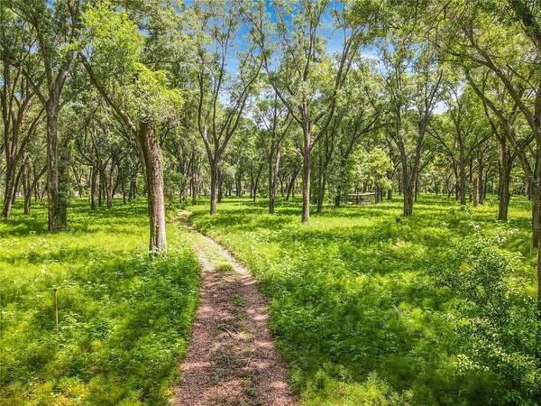 16.8 Acres of Land for Sale in Crescent City, Florida