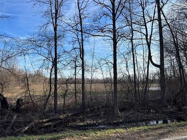 Land for Sale in Mayfield Township, Michigan