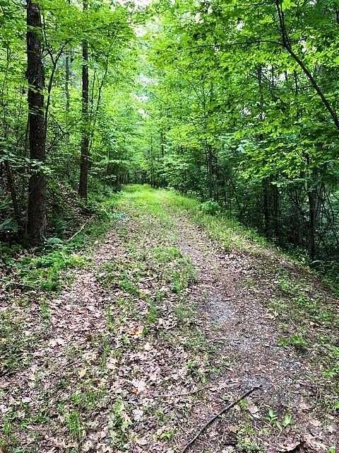 7 Acres of Residential Land for Sale in Mill Spring, North Carolina