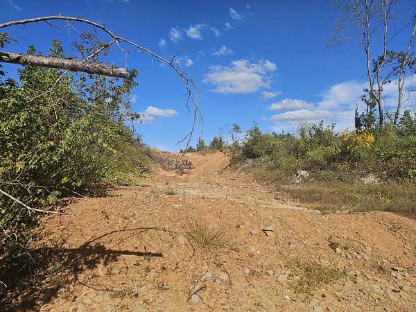 101 Acres of Recreational Land for Sale in Sulligent, Alabama