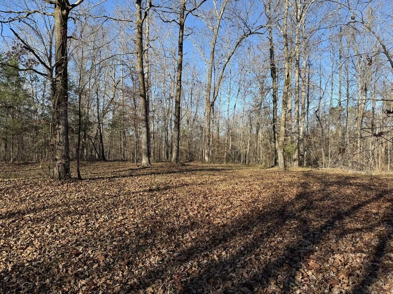 26 Acres of Land for Sale in Florence, Alabama