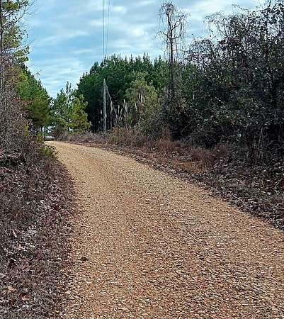 40 Acres of Recreational & Residential Land for Sale in Guin, Alabama