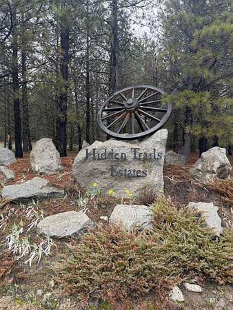 2.59 Acres of Residential Land for Sale in Cascade, Idaho