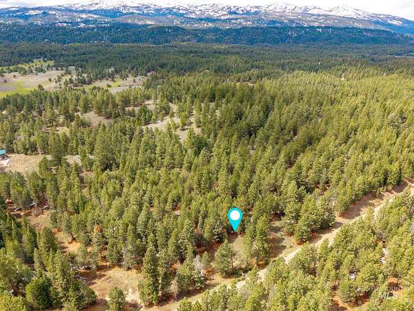 2.59 Acres of Residential Land for Sale in Cascade, Idaho