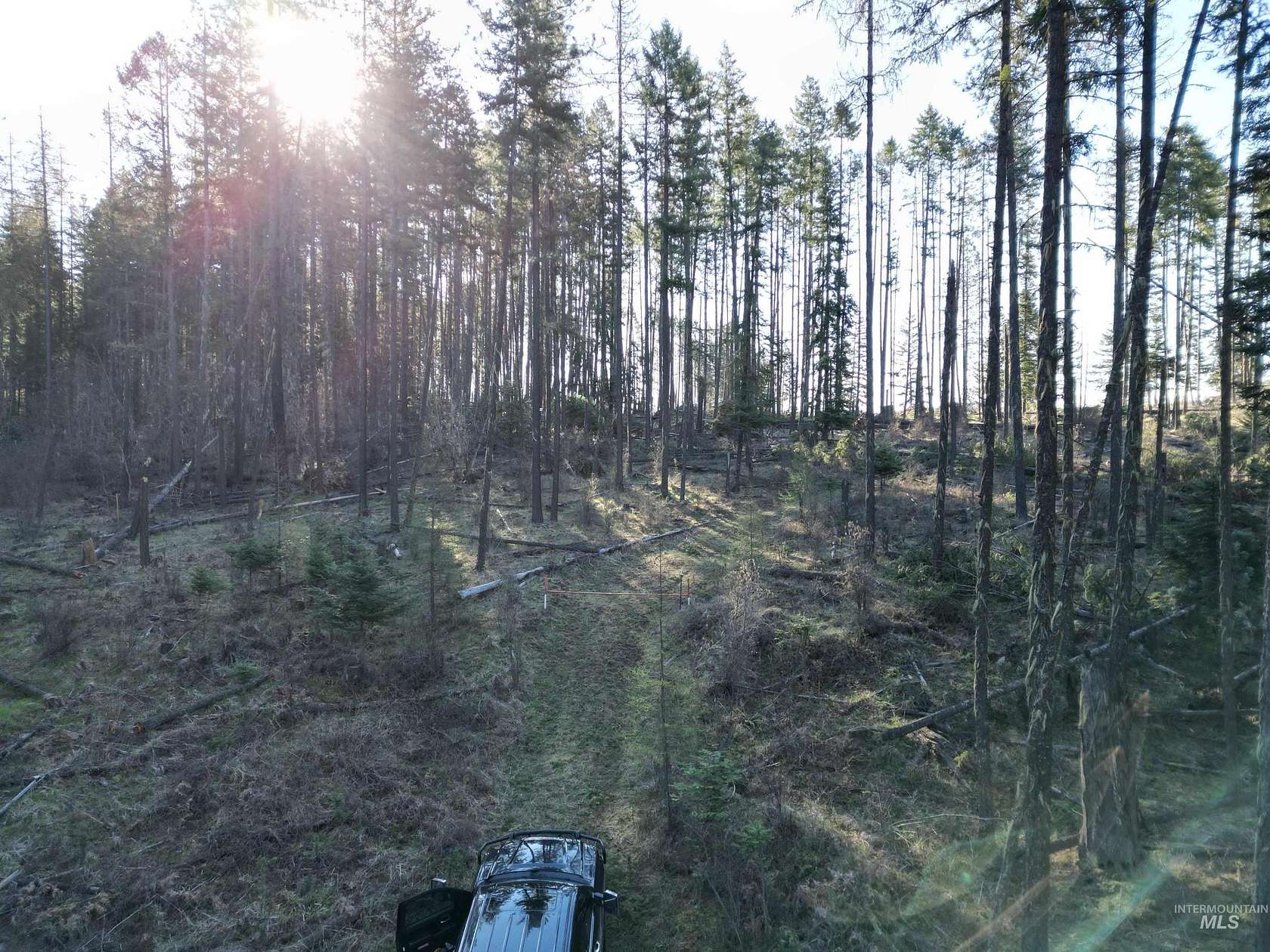 2.88 Acres of Land for Sale in Orofino, Idaho