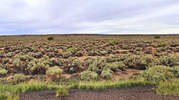 1 Acre of Residential Land for Sale in Chambers, Arizona