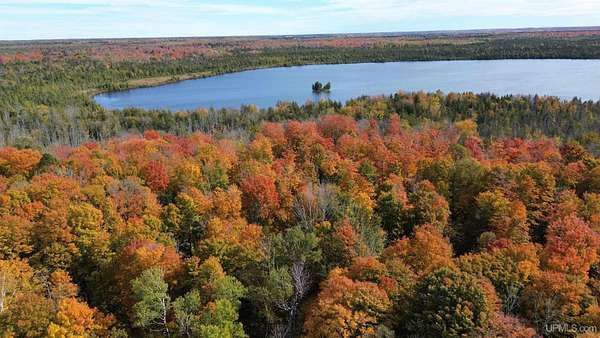 10 Acres of Residential Land for Sale in Gulliver, Michigan