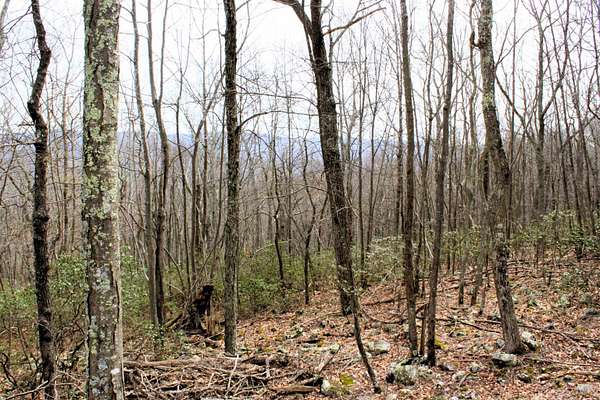 20 Acres of Land for Sale in Monterey, Virginia