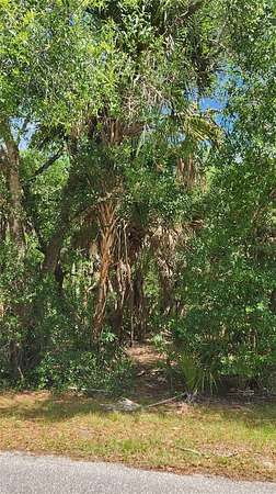 0.23 Acres of Land for Sale in Punta Gorda, Florida