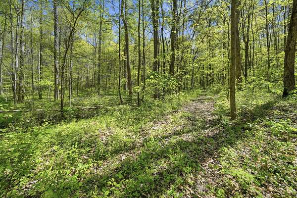 77.9 Acres of Recreational Land for Sale in Beechgrove, Tennessee