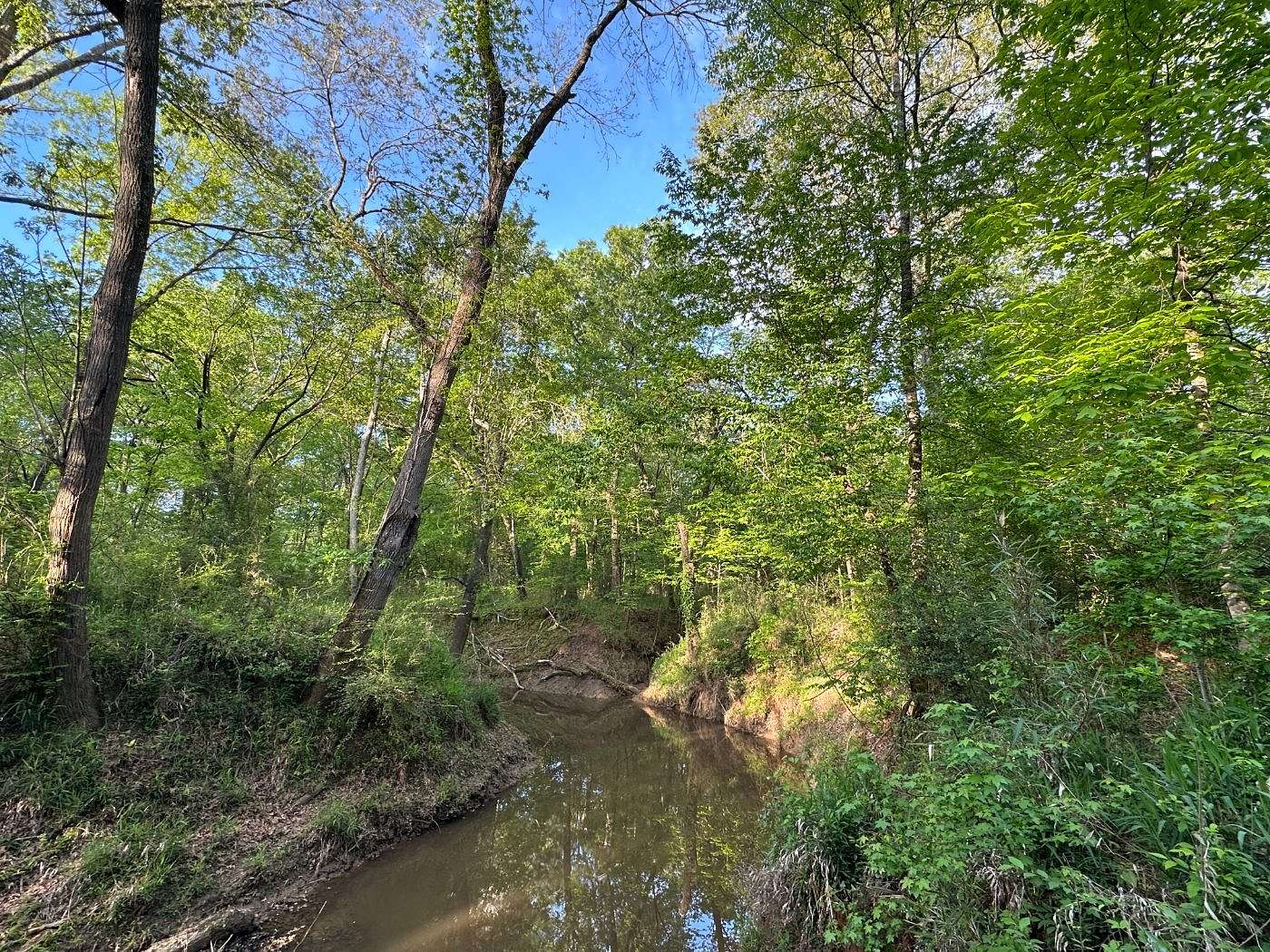 525 Acres of Recreational Land for Sale in Belott, Texas