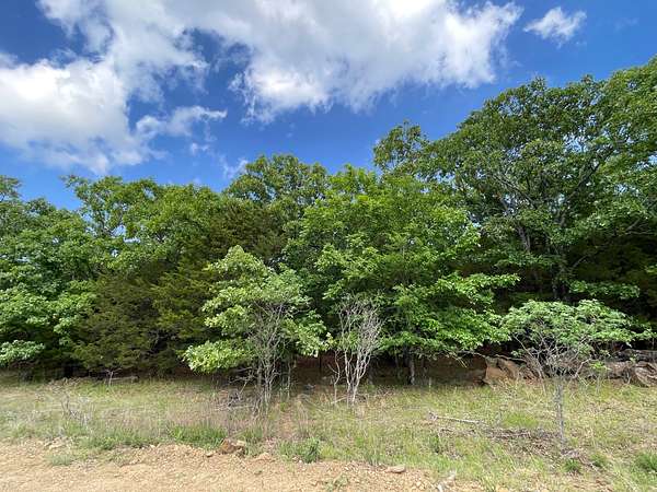 88 Acres of Recreational & Residential Land for Sale in McAlester, Oklahoma