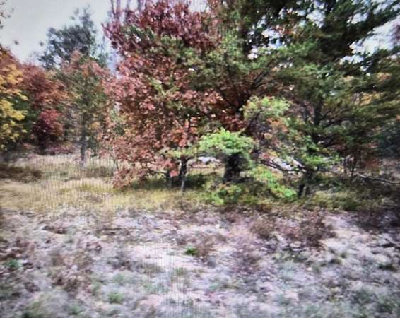 0.5 Acres of Residential Land for Sale in Grayling, Michigan