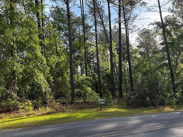 2.26 Acres of Residential Land for Sale in Vidalia, Georgia