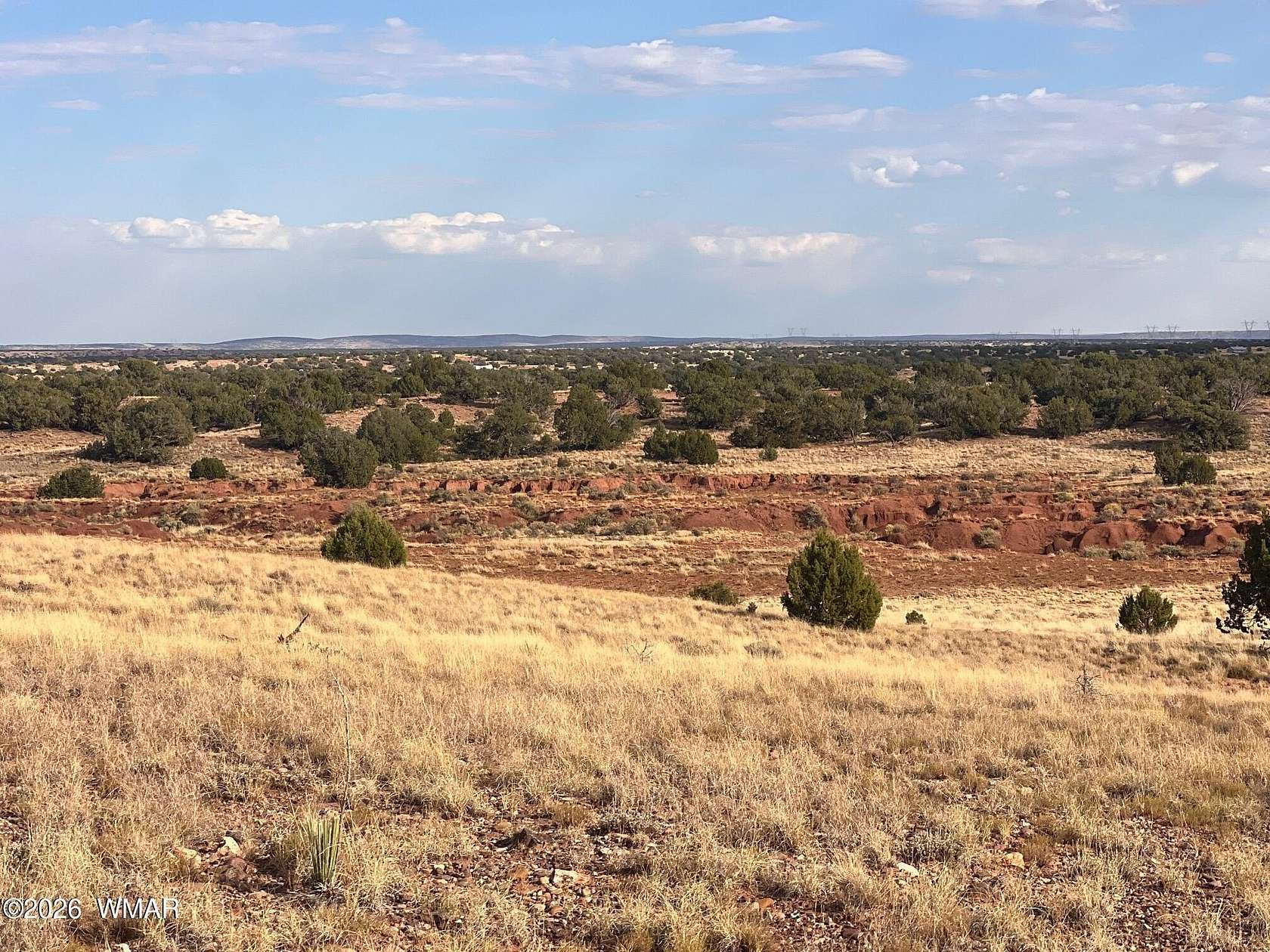 37.3 Acres of Land for Sale in Concho, Arizona