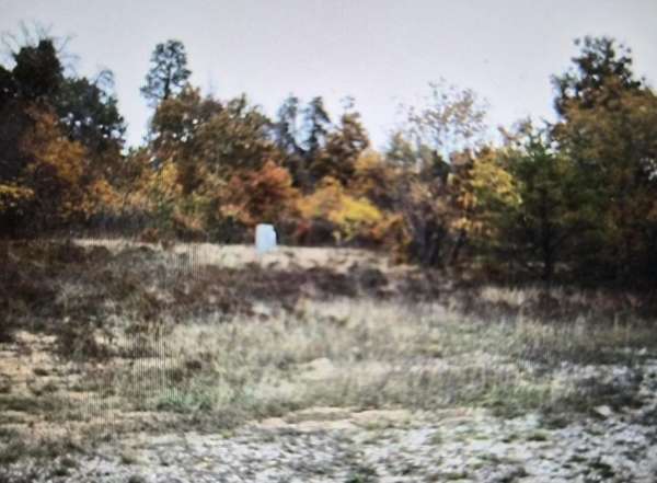 0.46 Acres of Residential Land for Sale in Grayling, Michigan