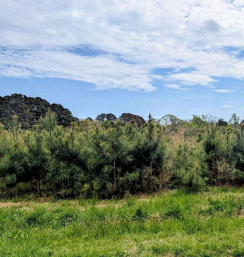 0.5 Acres of Residential Land for Sale in Machipongo, Virginia