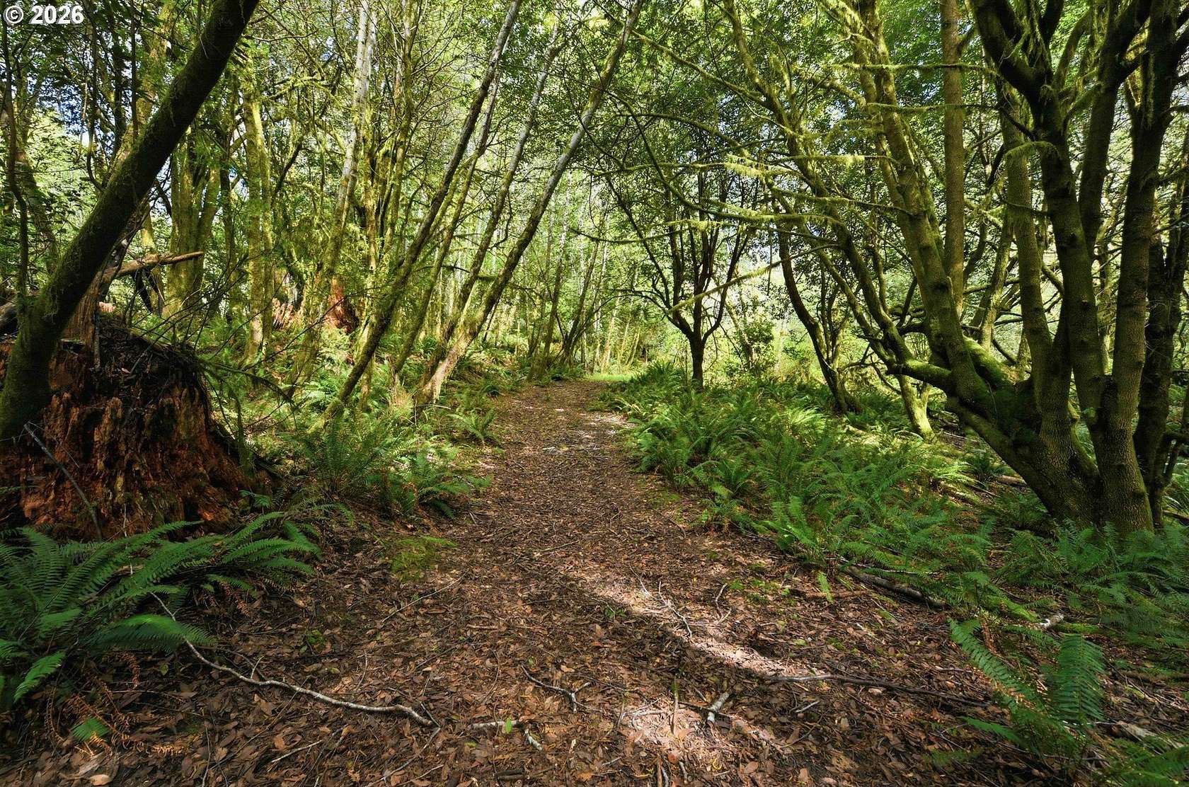 77.5 Acres of Recreational & Residential Land for Sale in Coquille, Oregon