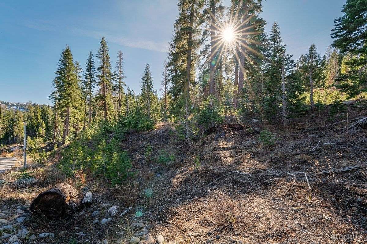 0.37 Acres of Residential Land for Sale in Kirkwood, California