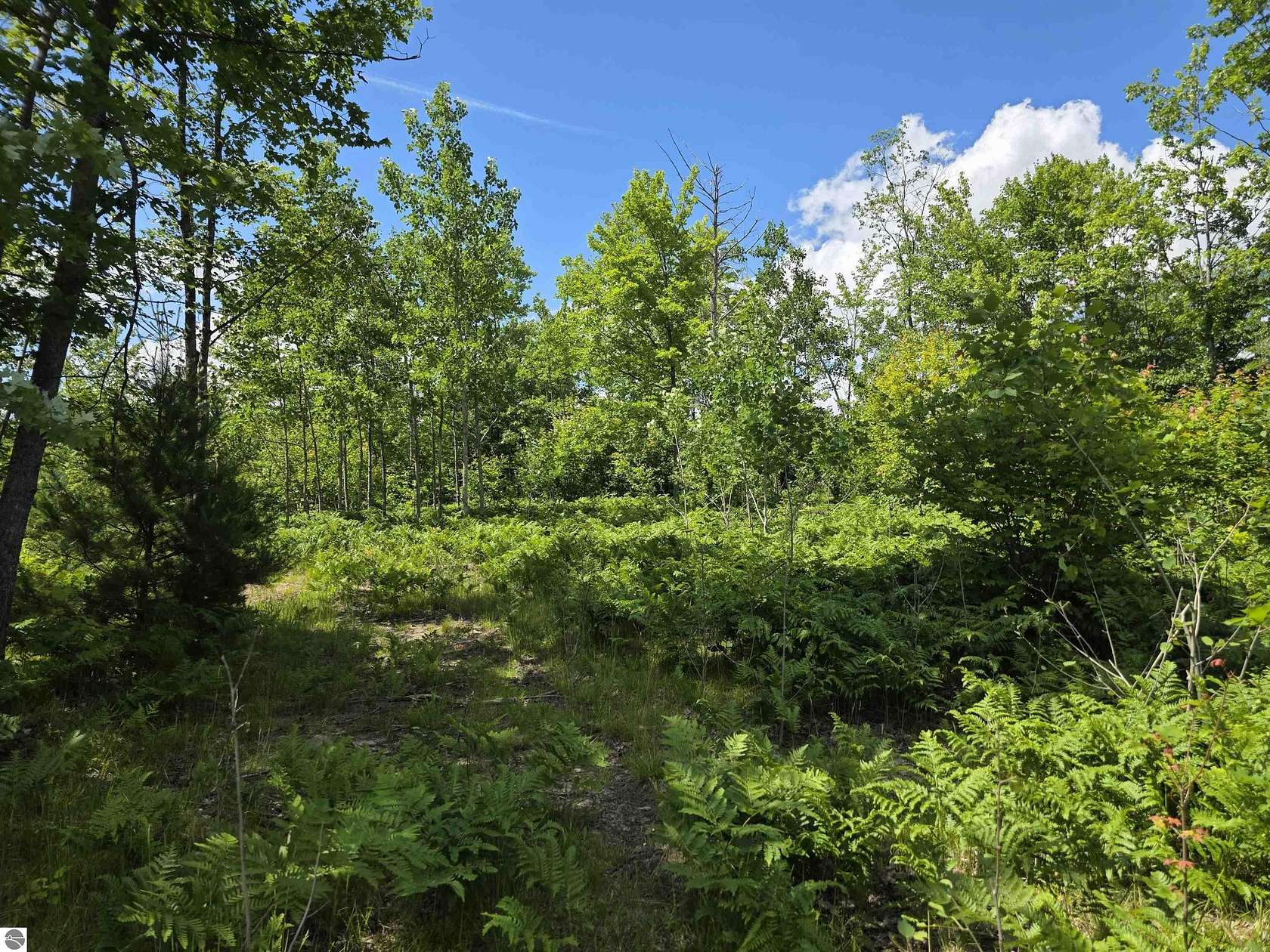 80 Acres of Recreational Land for Sale in Cadillac, Michigan