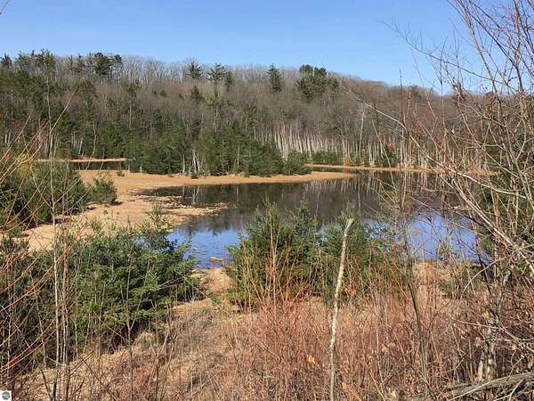 80 Acres of Recreational Land for Sale in Cadillac, Michigan