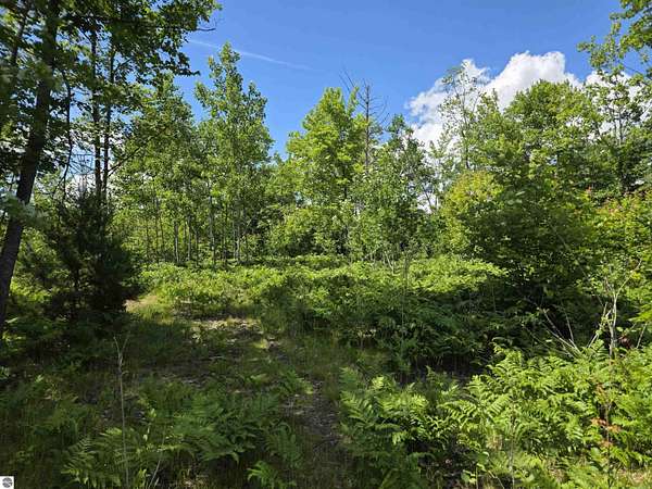 80 Acres of Recreational Land for Sale in Cadillac, Michigan