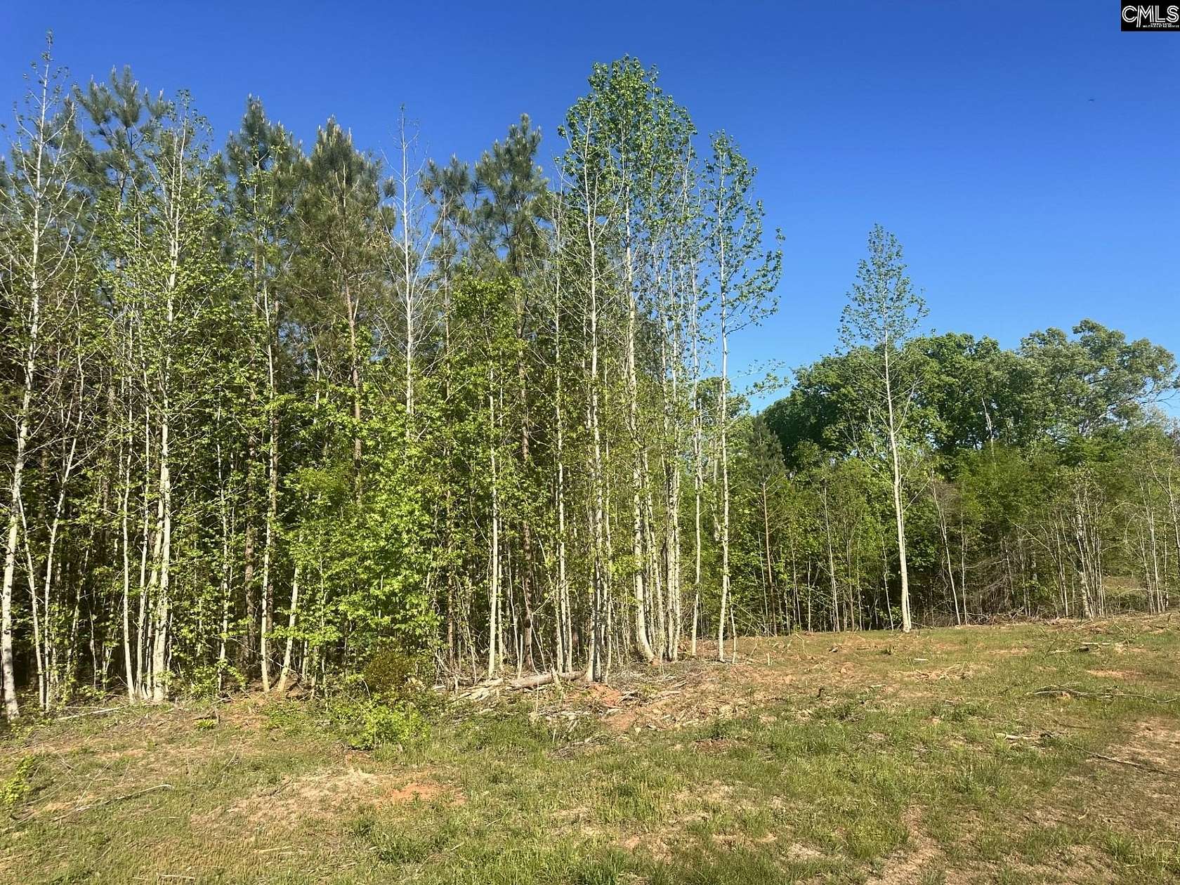 38.7 Acres of Recreational & Residential Land for Sale in Pomaria, South Carolina