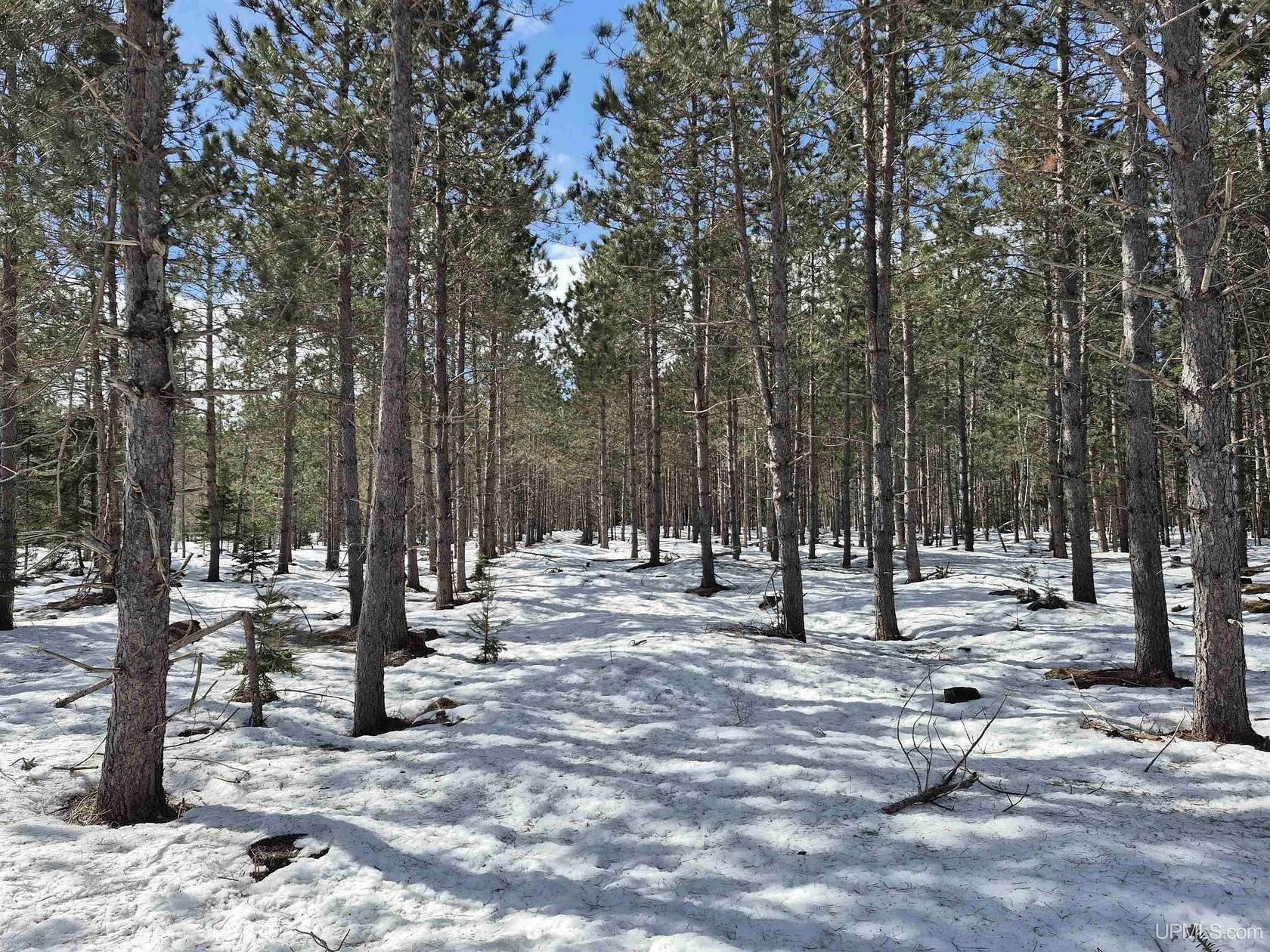 40 Acres of Recreational Land for Sale in Thompson, Michigan