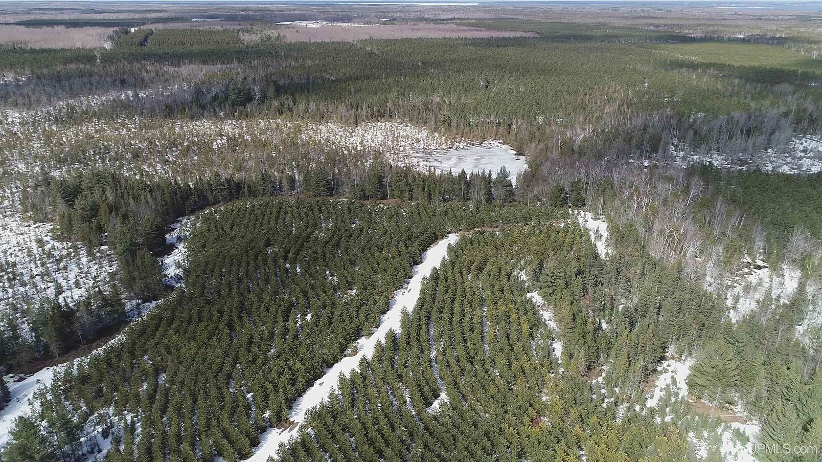 40 Acres of Recreational Land for Sale in Thompson, Michigan