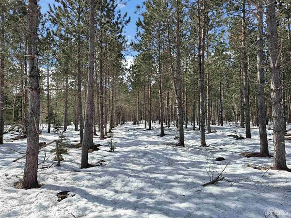 40 Acres of Recreational Land for Sale in Thompson, Michigan