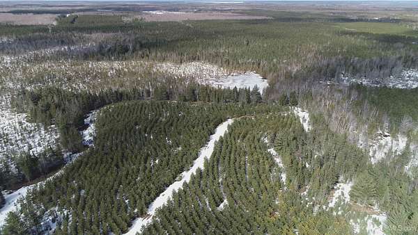 40 Acres of Recreational Land for Sale in Thompson, Michigan