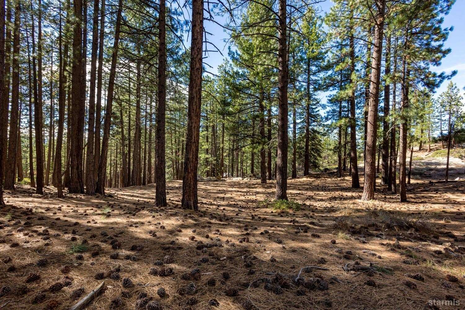 1 Acre of Residential Land for Sale in South Lake Tahoe, California