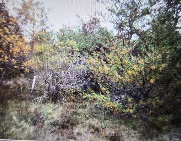 0.49 Acres of Residential Land for Sale in Grayling, Michigan