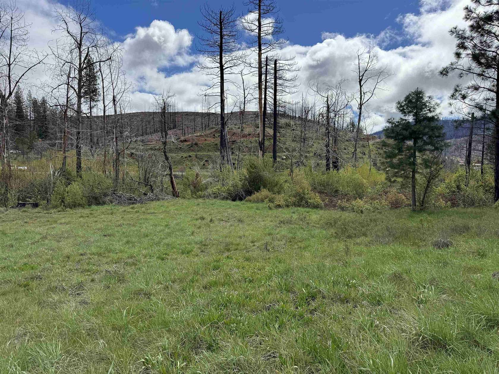 0.56 Acres of Land for Sale in Greenville, California