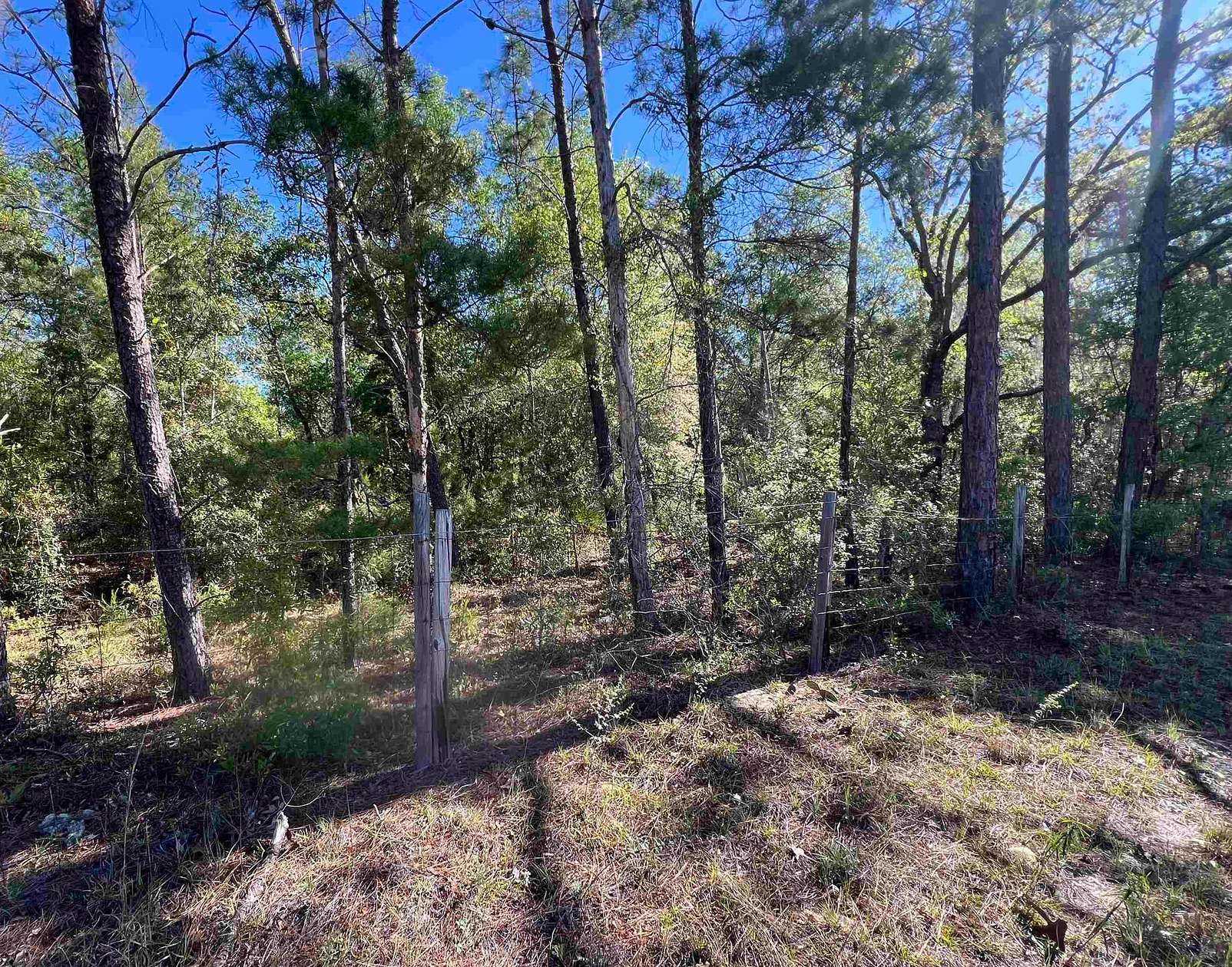 87.8 Acres of Land for Sale in Quincy, Florida