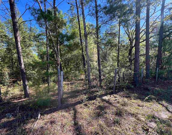 87.8 Acres of Land for Sale in Quincy, Florida