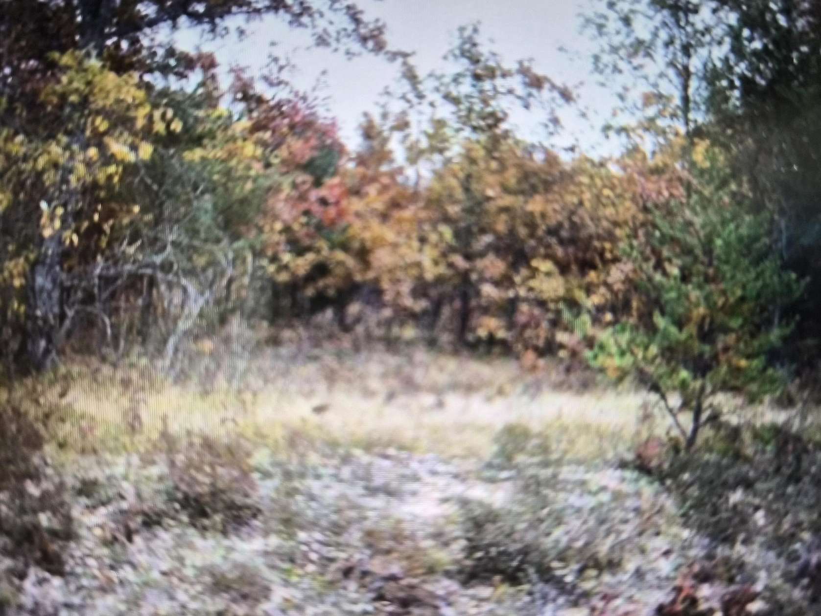 0.5 Acres of Residential Land for Sale in Grayling, Michigan