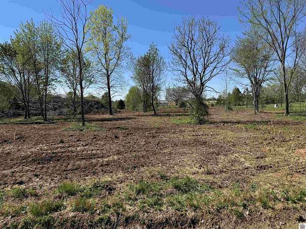 1 Acre of Residential Land for Sale in Kevil, Kentucky