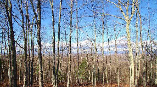 1 Acre of Residential Land for Sale in Caldwell, West Virginia