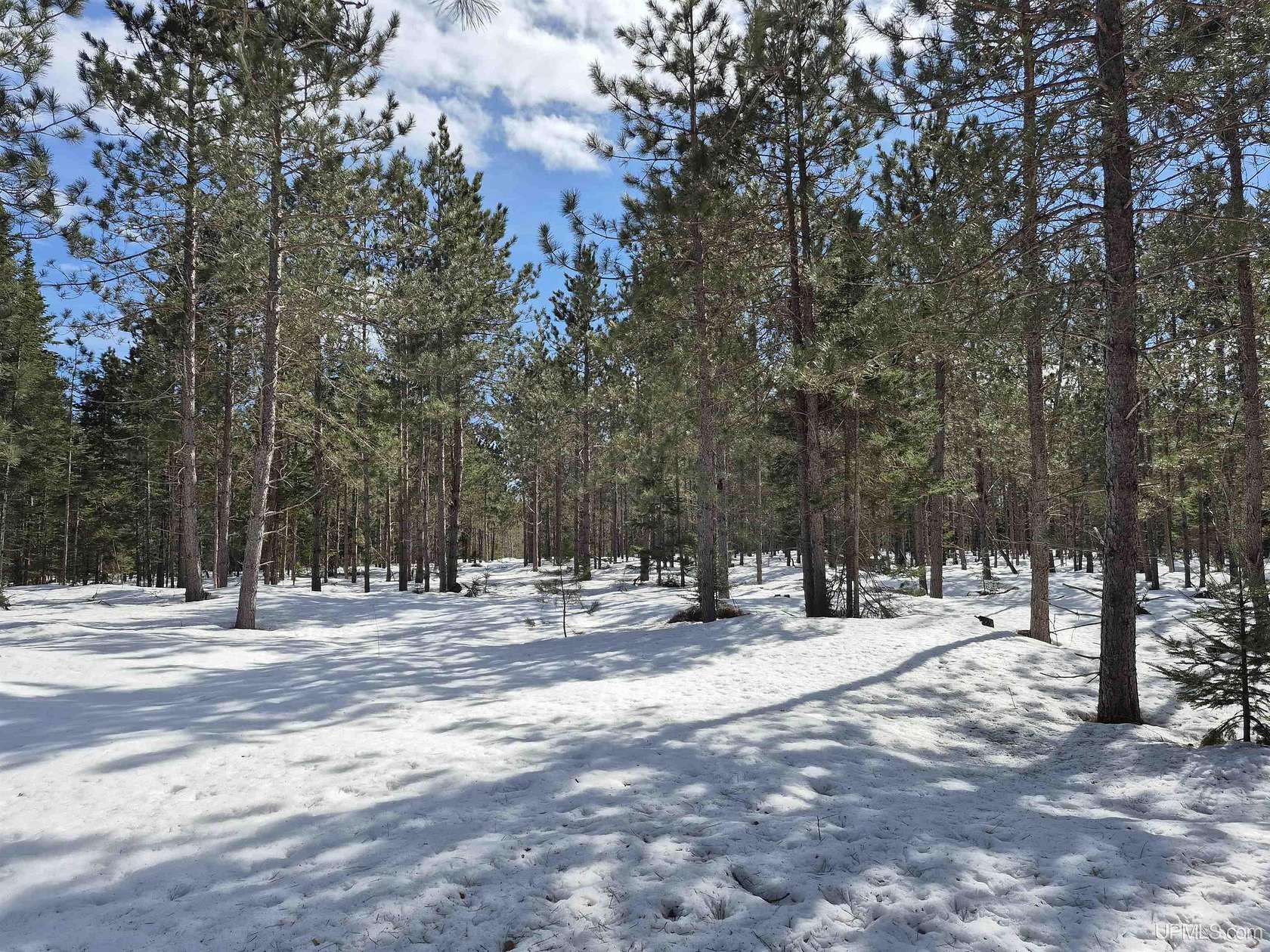 20 Acres of Recreational Land for Sale in Thompson, Michigan