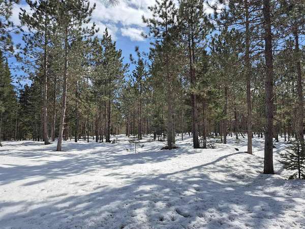 20 Acres of Recreational Land for Sale in Thompson, Michigan