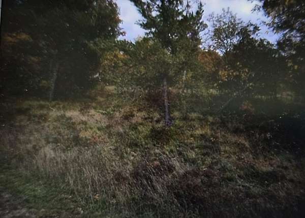 0.5 Acres of Residential Land for Sale in Grayling, Michigan