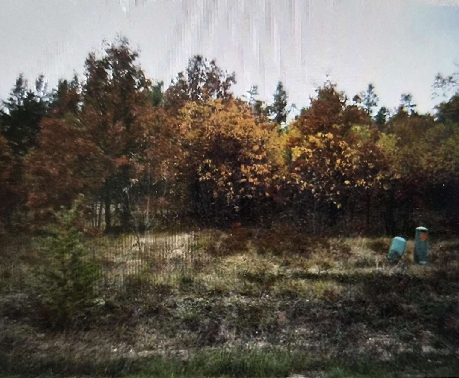 0.5 Acres of Residential Land for Sale in Grayling, Michigan