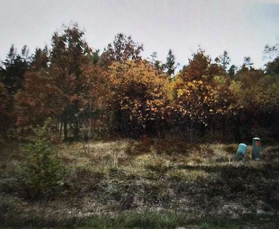 0.5 Acres of Residential Land for Sale in Grayling, Michigan