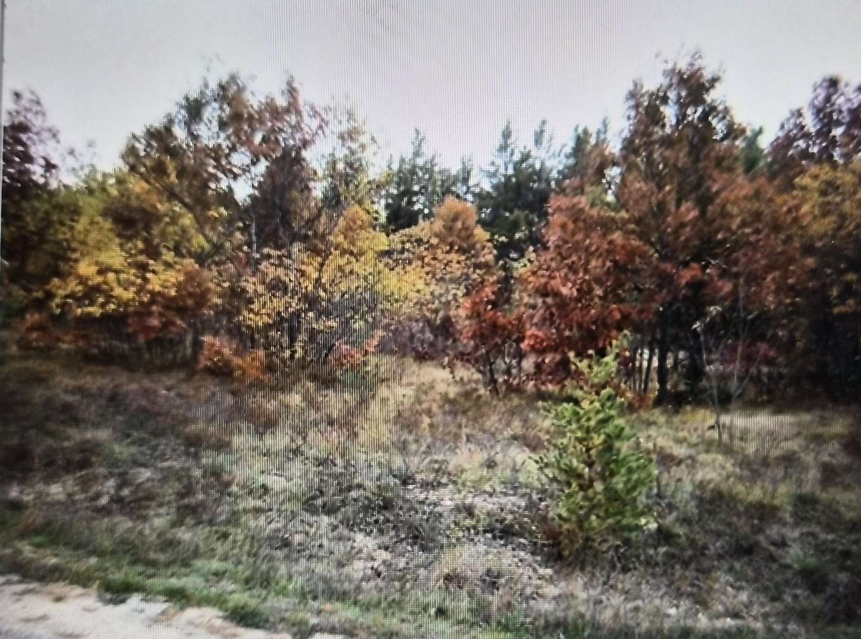 0.5 Acres of Residential Land for Sale in Grayling, Michigan