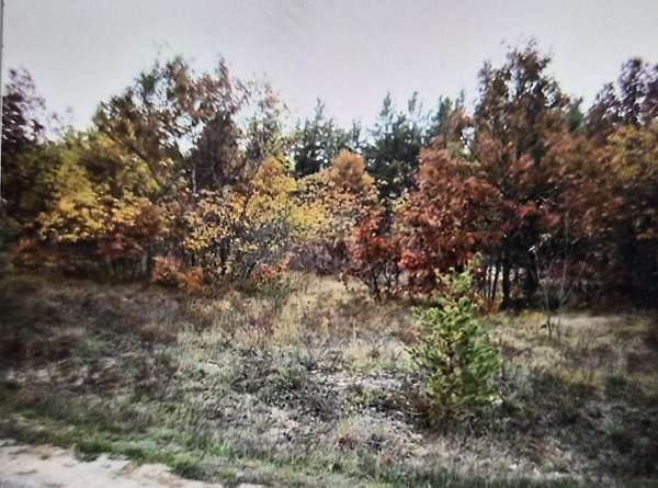 0.5 Acres of Residential Land for Sale in Grayling, Michigan