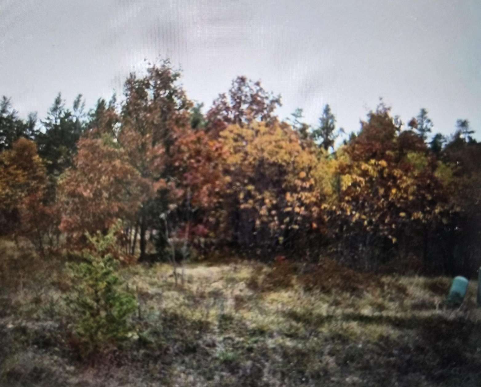 0.5 Acres of Residential Land for Sale in Grayling, Michigan