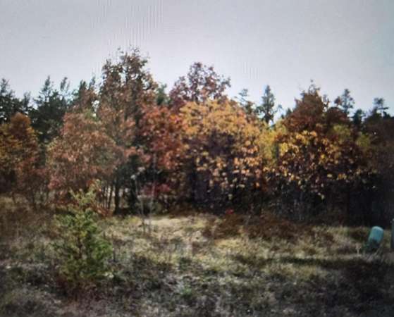 0.5 Acres of Residential Land for Sale in Grayling, Michigan